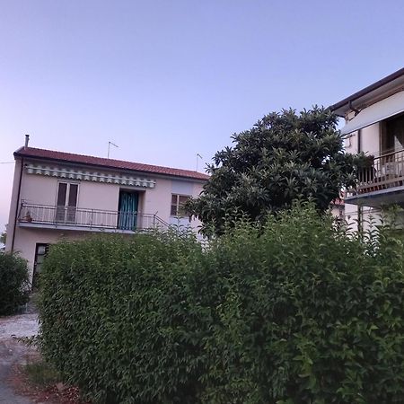La Quiete Tra Le Vigne Tuscany Коллесальветти Экстерьер фото