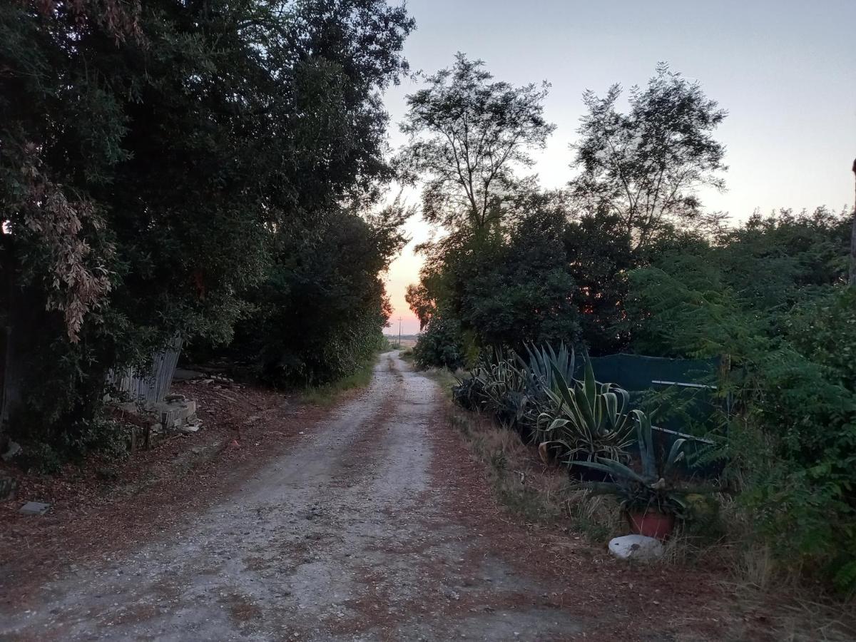 La Quiete Tra Le Vigne Tuscany Коллесальветти Экстерьер фото