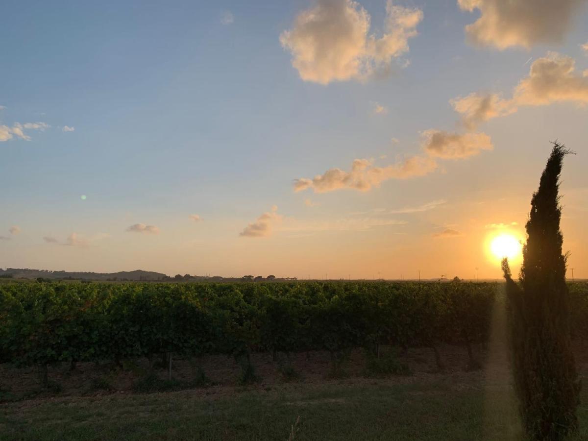 La Quiete Tra Le Vigne Tuscany Коллесальветти Экстерьер фото